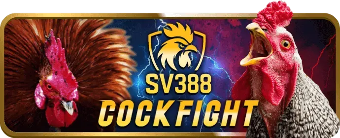 Hình ảnh minh họa các loại cookie được lucky88 chính thức sử dụng